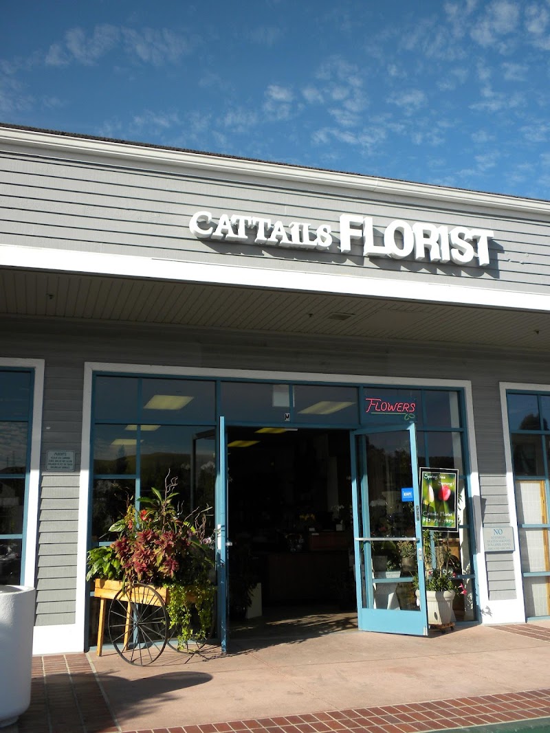 Photo of Cattails Florist