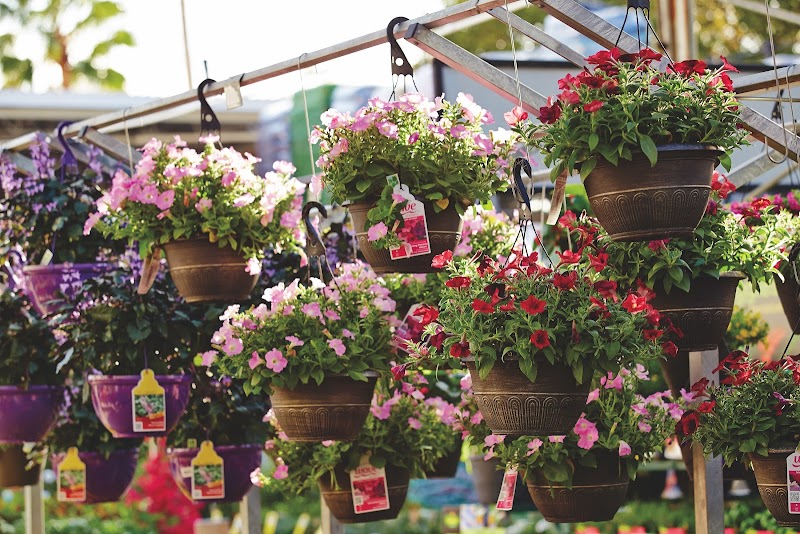 Garden Center at The Home Depot photo 2