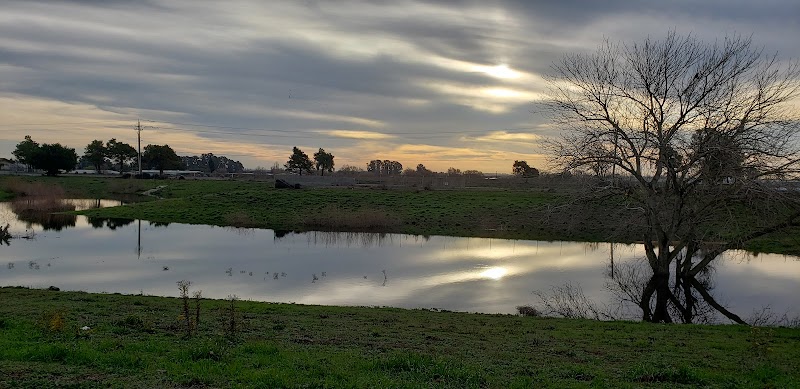 Photo of Poppy House Seasonal Pond