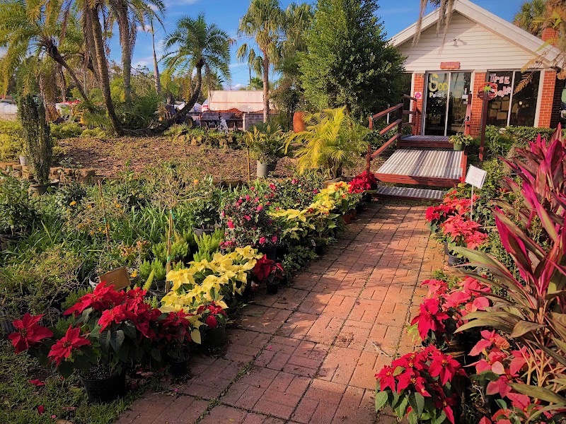 Staggs Nursery photo 3