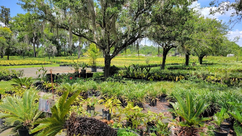 Staggs Nursery photo 2