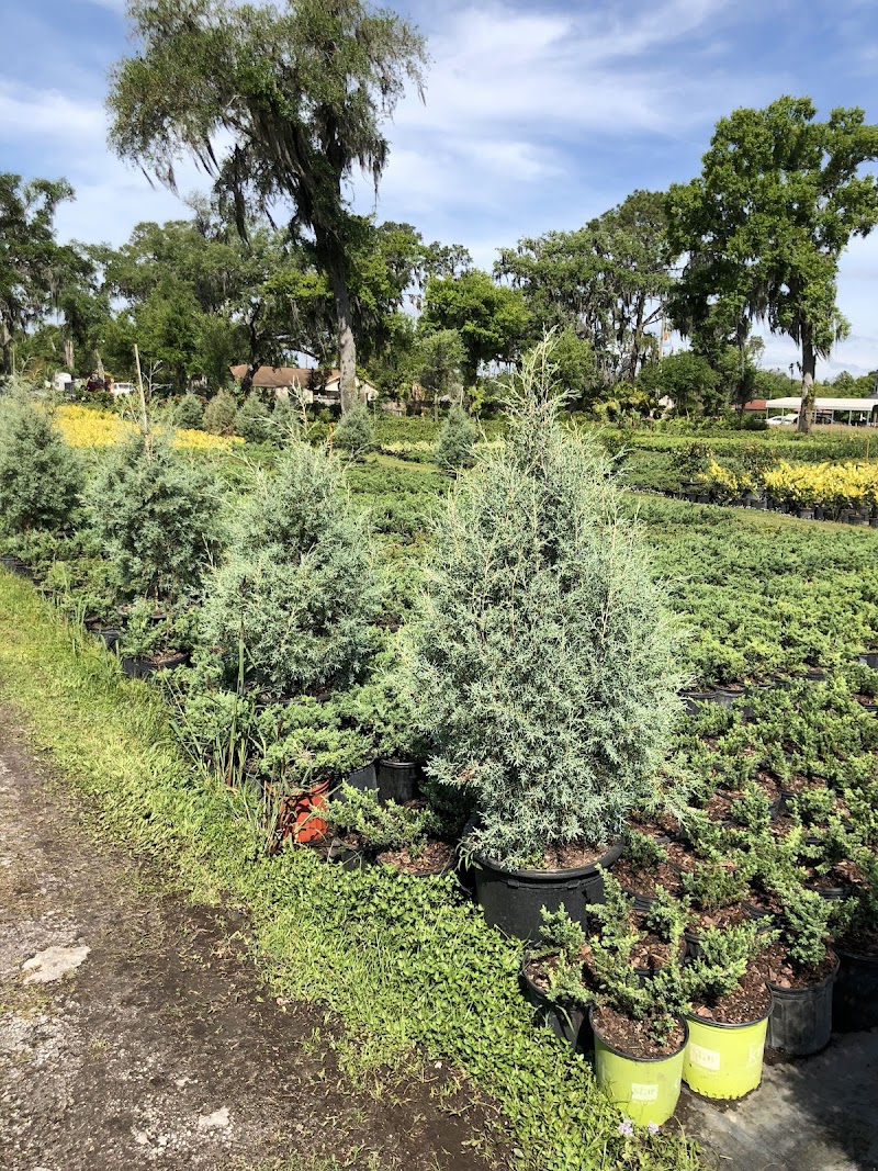 Staggs Nursery photo 5