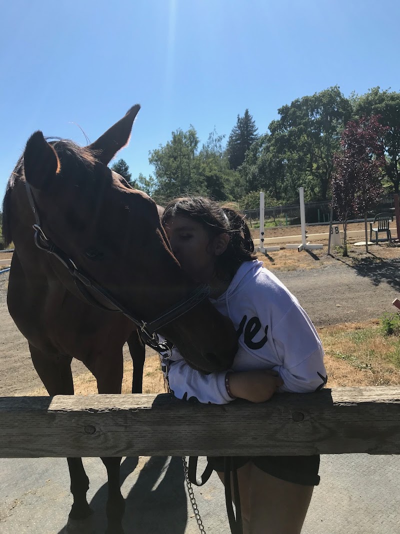 Apple Creek Training & Lessons photo 4