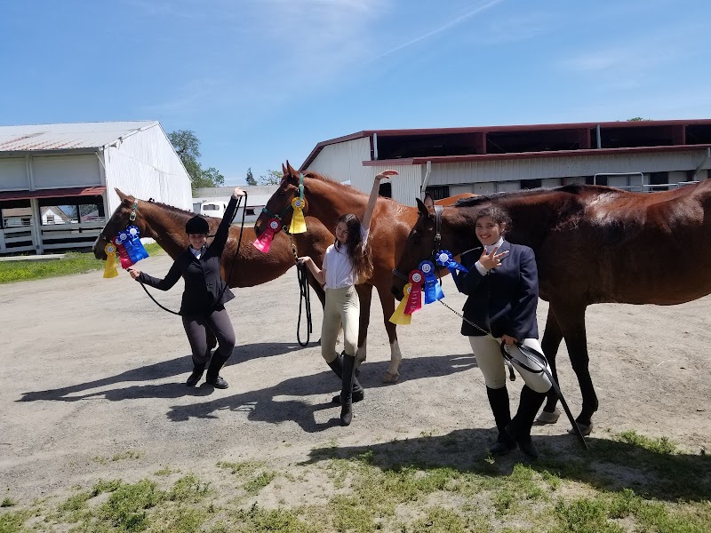 Apple Creek Training & Lessons photo 5