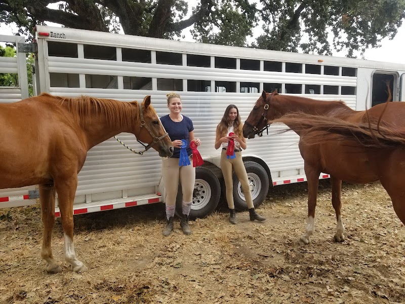 Apple Creek Training & Lessons photo 2