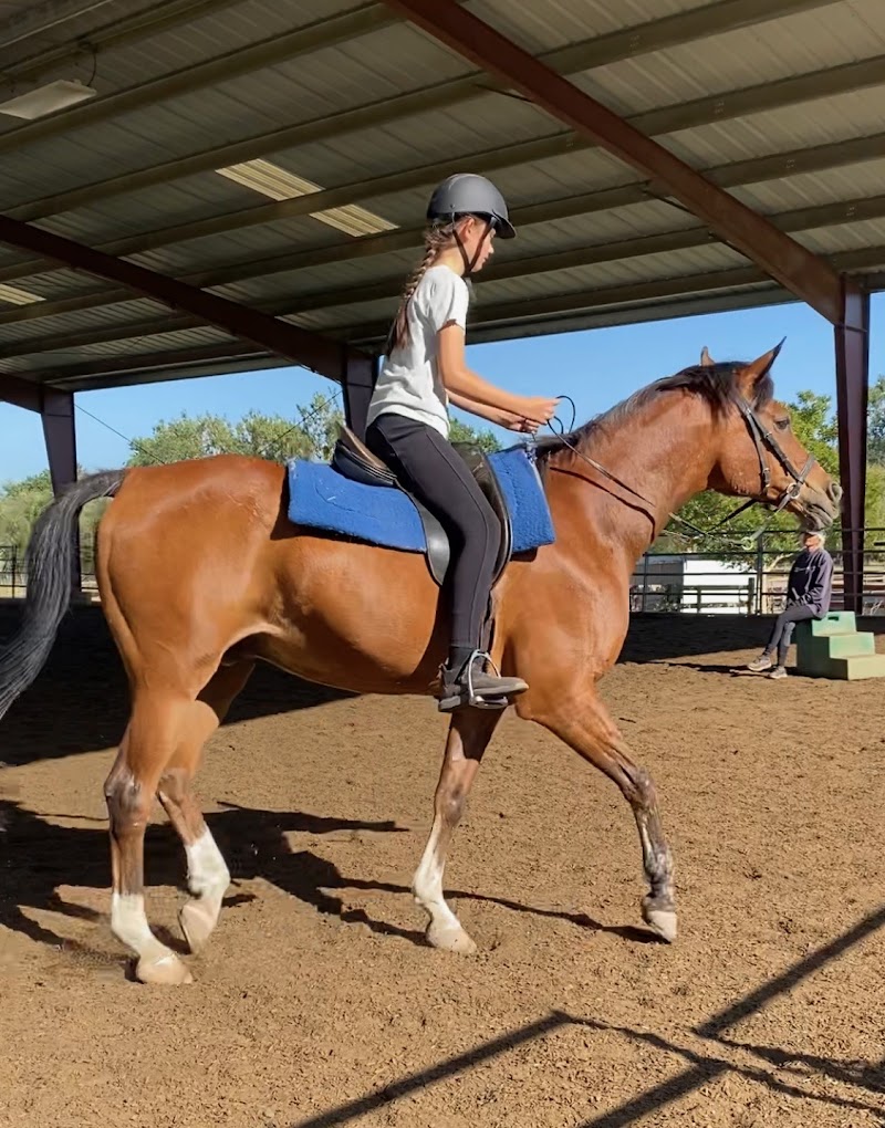 Photo of Apple Creek Training & Lessons