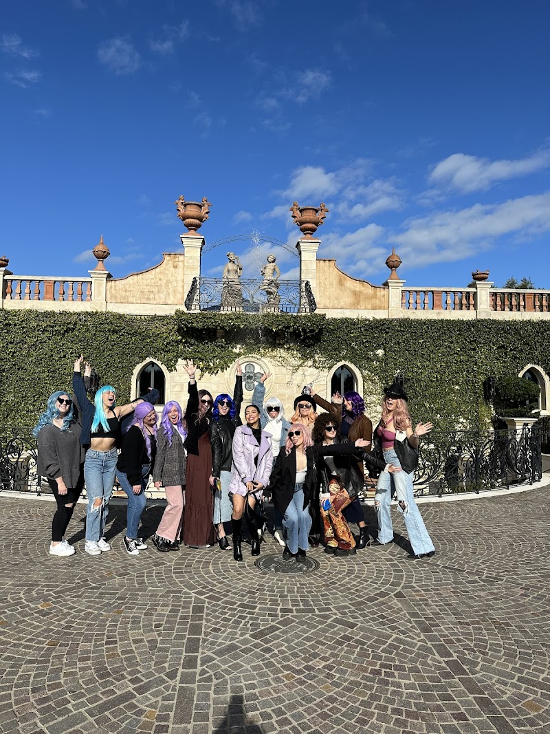 Phenomenal Limos & Wine Tours - Napa Valley & Sonoma Wine Tours photo 5
