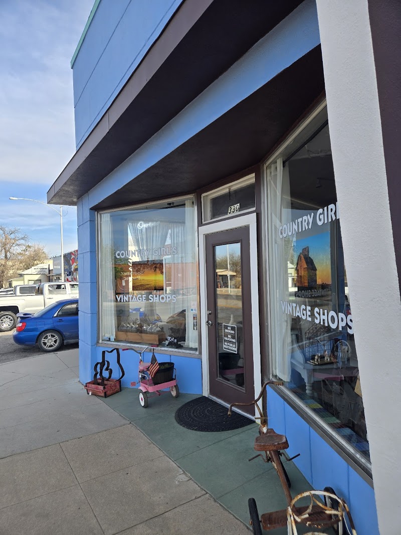 Photo of Hub City Vintage of Benson