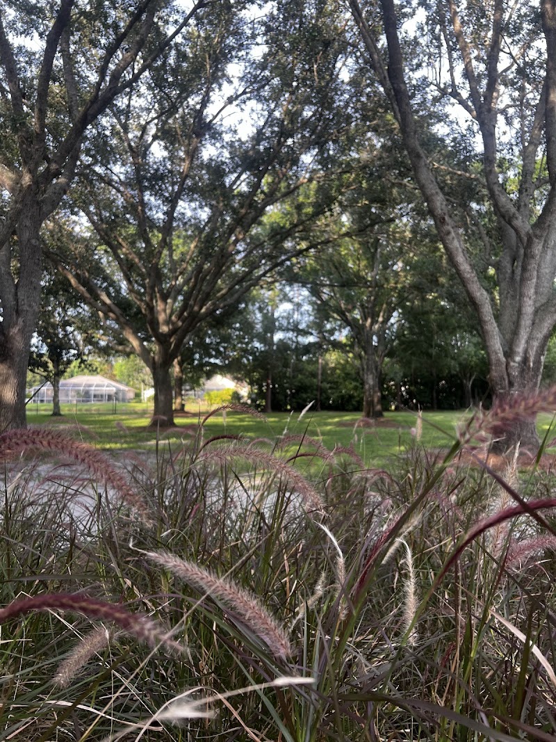 Lansbrook Commons Park PRIVATE PROPERTY photo 3