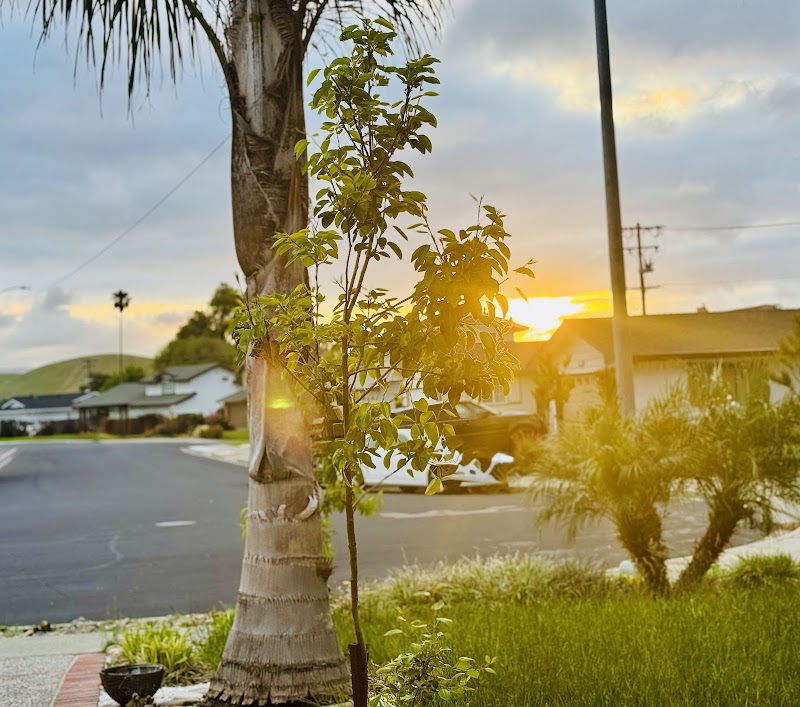 Farmers Insurance - Subrata Saha photo 2