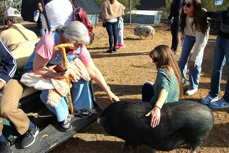 Ironwood Pig Sanctuary photo 4