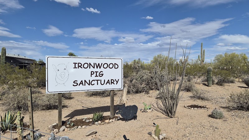 Ironwood Pig Sanctuary photo 5