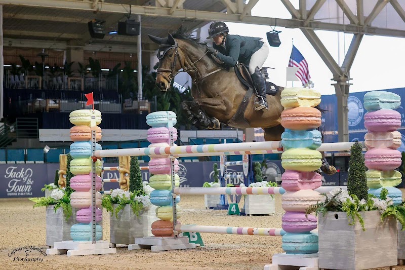 Photo of DiCorti Bush Equestrian