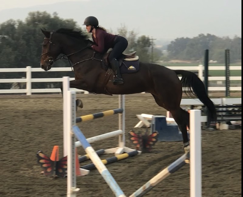 DiCorti Bush Equestrian photo 5