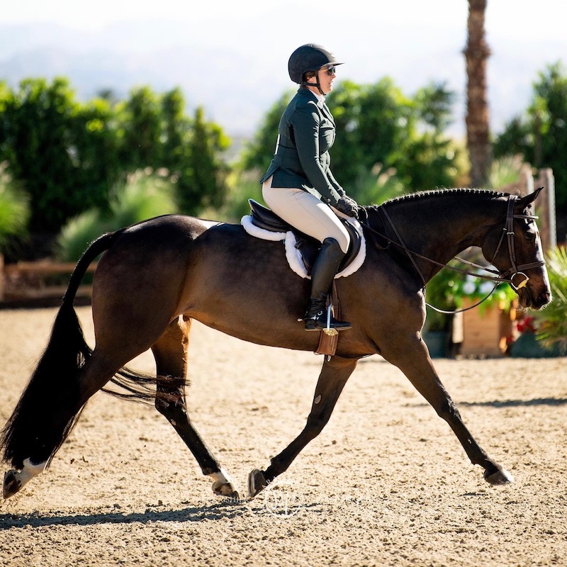 DiCorti Bush Equestrian photo 4