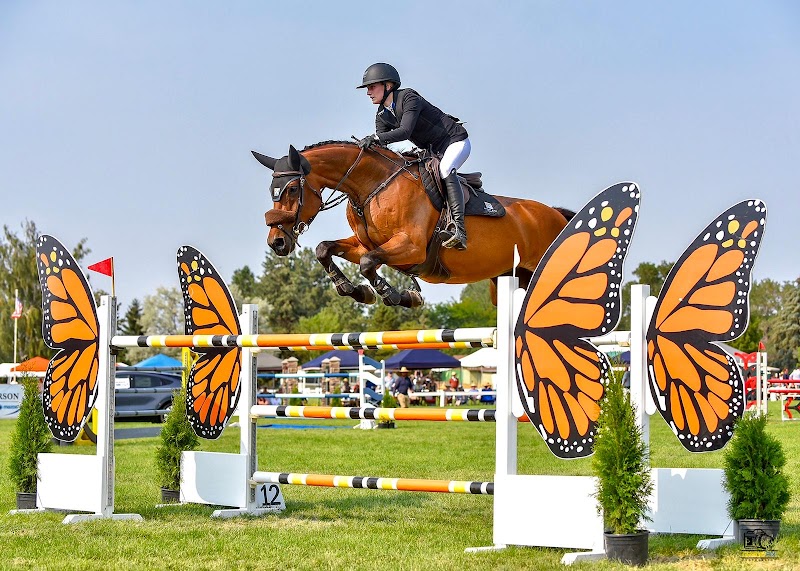DiCorti Bush Equestrian photo 3