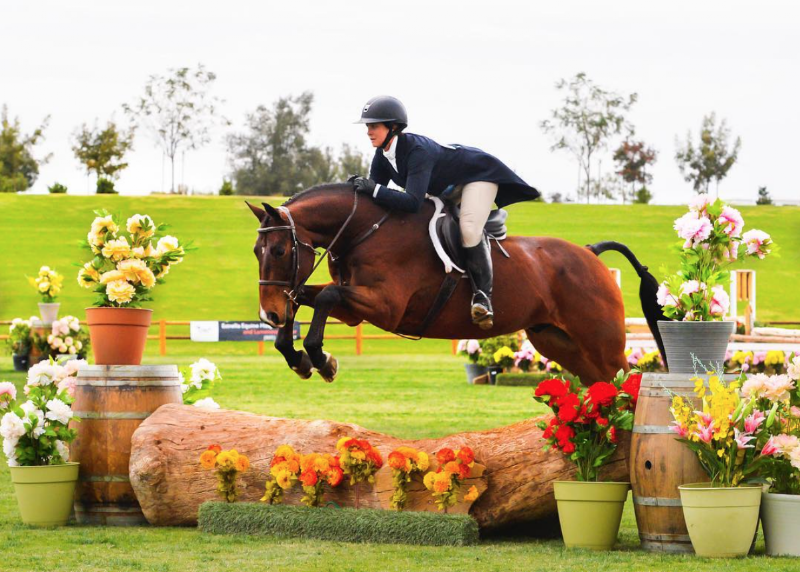 DiCorti Bush Equestrian photo 2