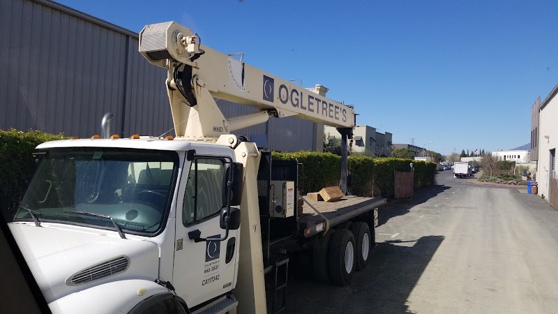 Photo of Ogletree's Inc