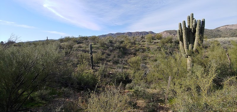 Aravaipa RV Park LLC photo 2