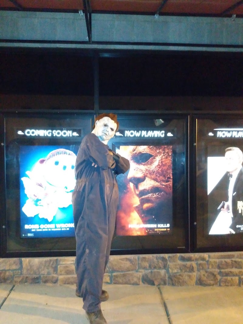 Hollis Cinema 4 photo 5