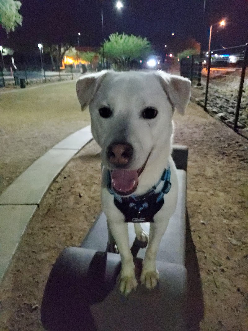 Hope's Boarding Camp photo 2