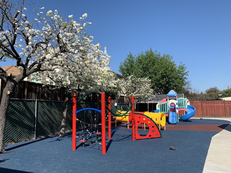 Step By Step Montessori Pre-school photo 5