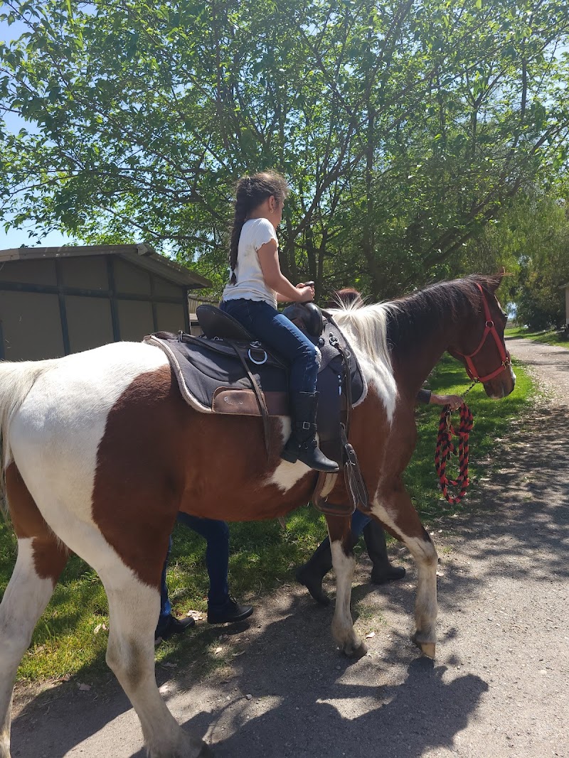 Photo of D'Alonzo Ranch Equestrian Center
