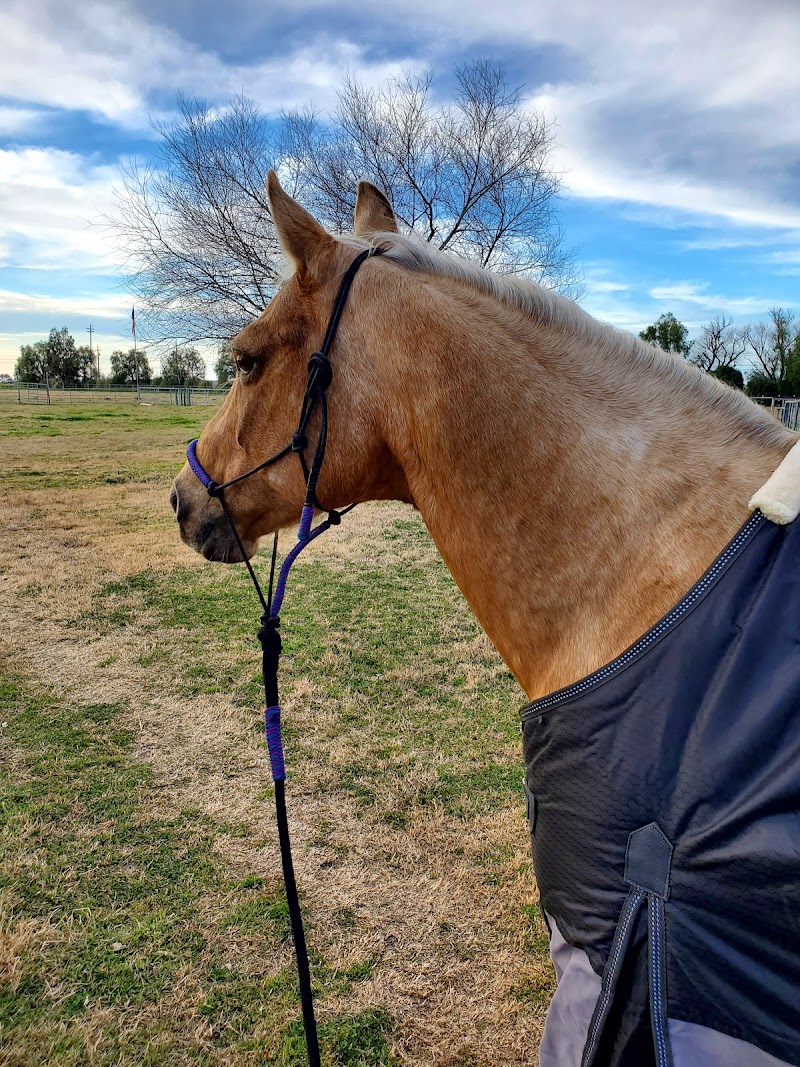 D'Alonzo Ranch Equestrian Center photo 3