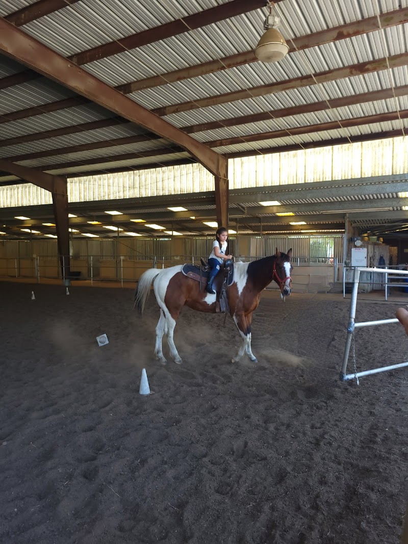 D'Alonzo Ranch Equestrian Center photo 4