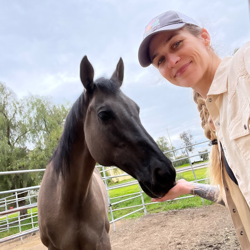D'Alonzo Ranch Equestrian Center photo 2
