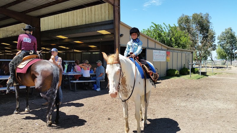 D'Alonzo Ranch Equestrian Center photo 5