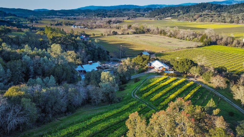 Cāpo Creek Winery photo 4
