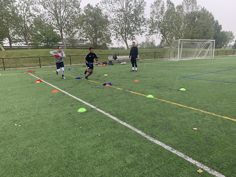 Portuguese Futbol Academy photo 4