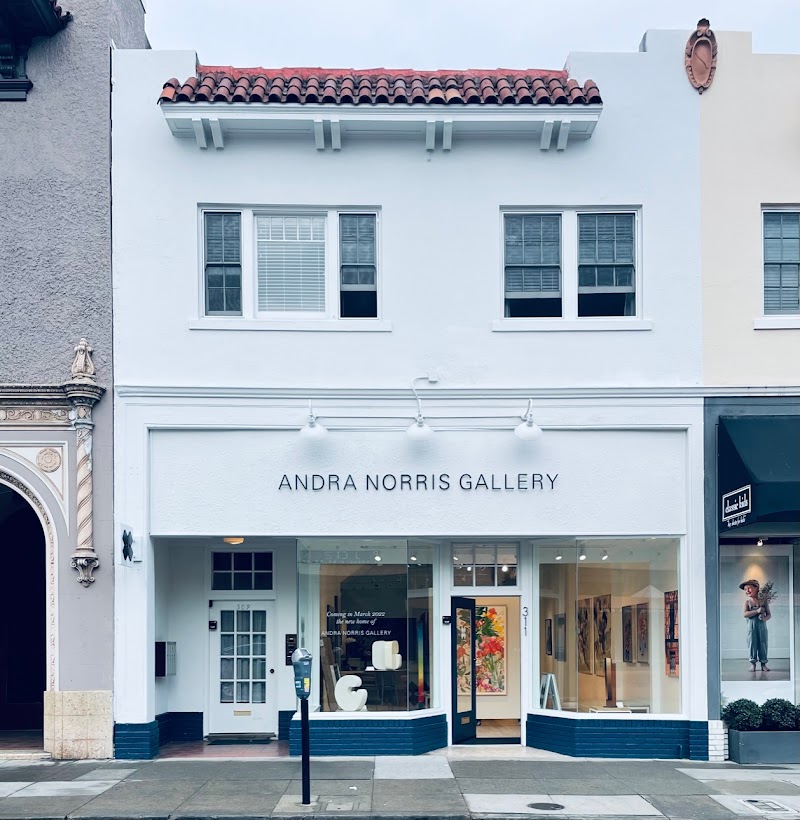 Andra Norris Art Gallery photo 2
