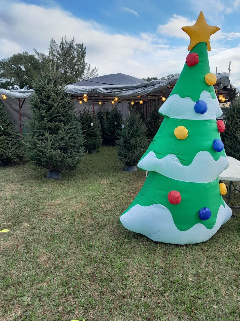 Loving Hands Ministries - Dade City photo 5