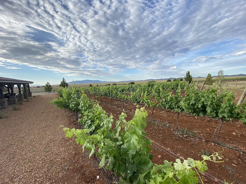 Autumn Sage Vineyards photo 4