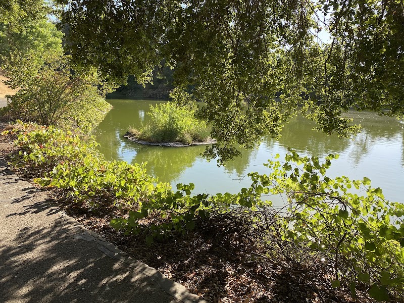 UC Davis Arboretum Teaching Nursery photo 5