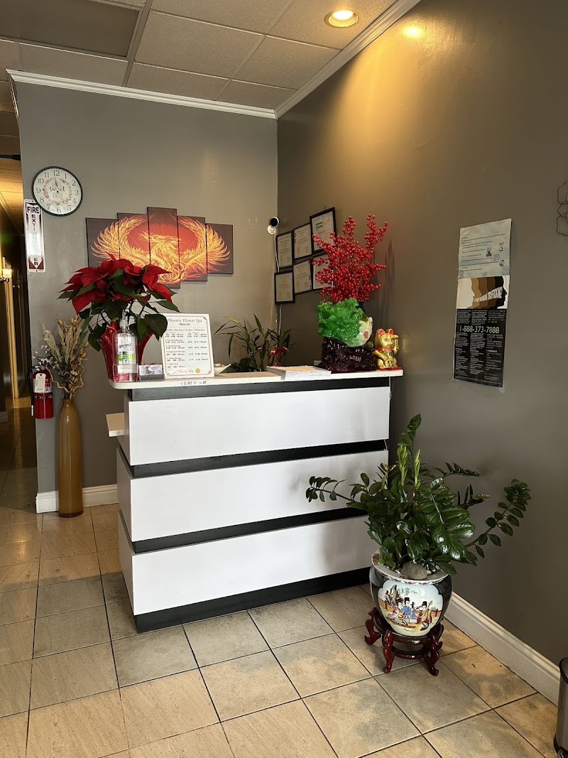 Phoenix Flower Spa photo 2