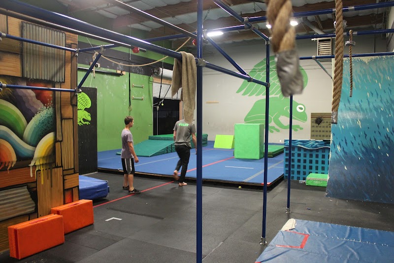 Flying Frog Academy photo 3