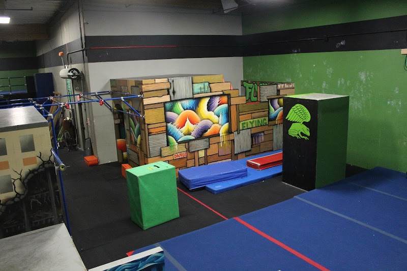 Photo of Flying Frog Academy