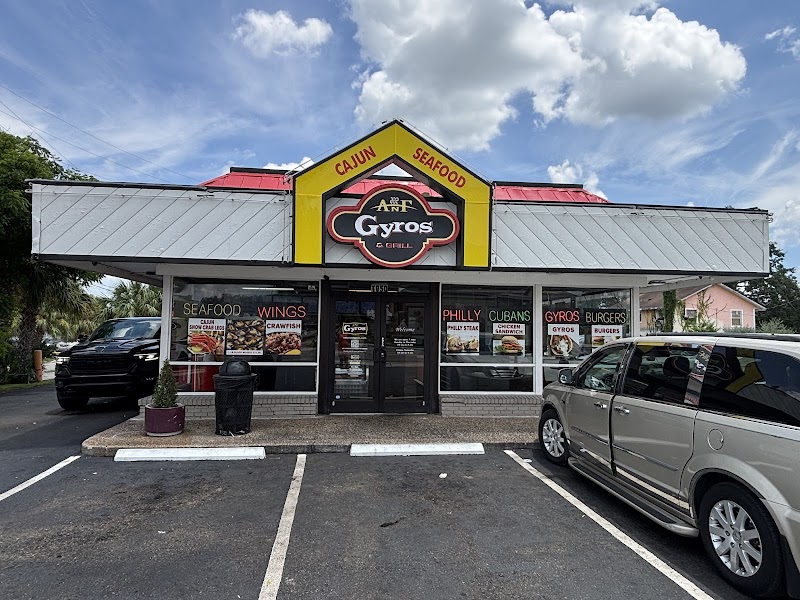 ANF GYROS & GRILL (w-haven) photo 4