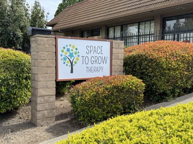 Space to Grow Therapy photo 4