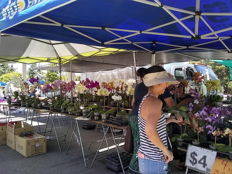 De Anza College Flea Market / DASG Flea Market photo 4