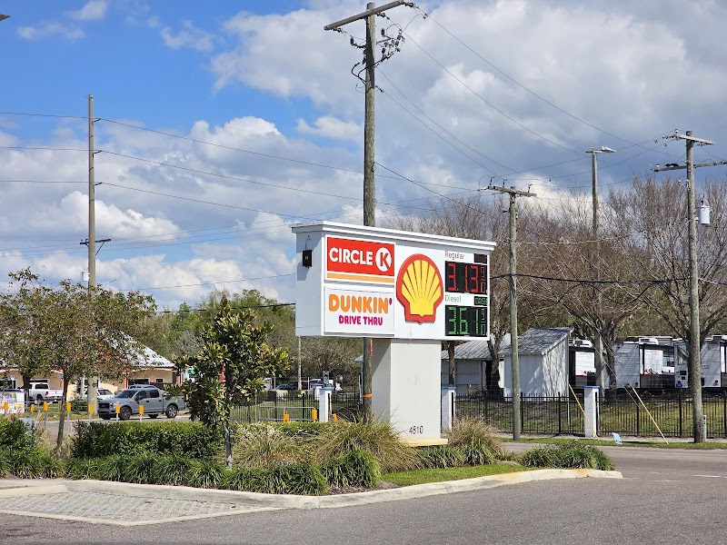 Shell photo 2