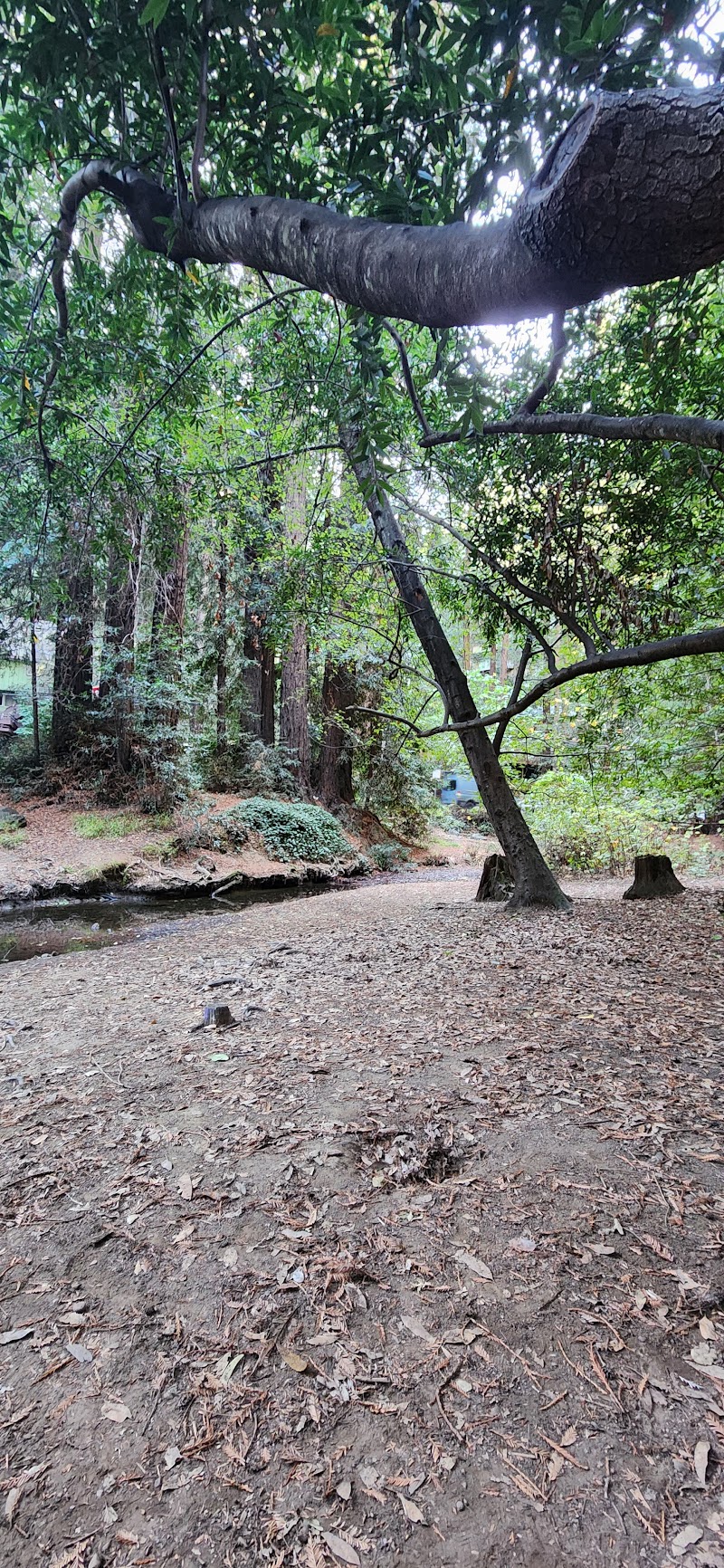 Old Mill Park Amphitheater photo 4