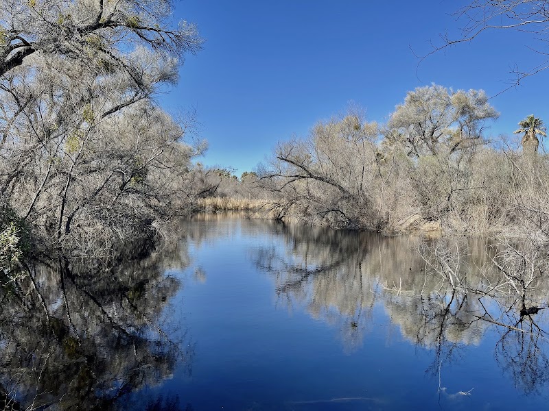 Photo of Hassayampa River Preserve