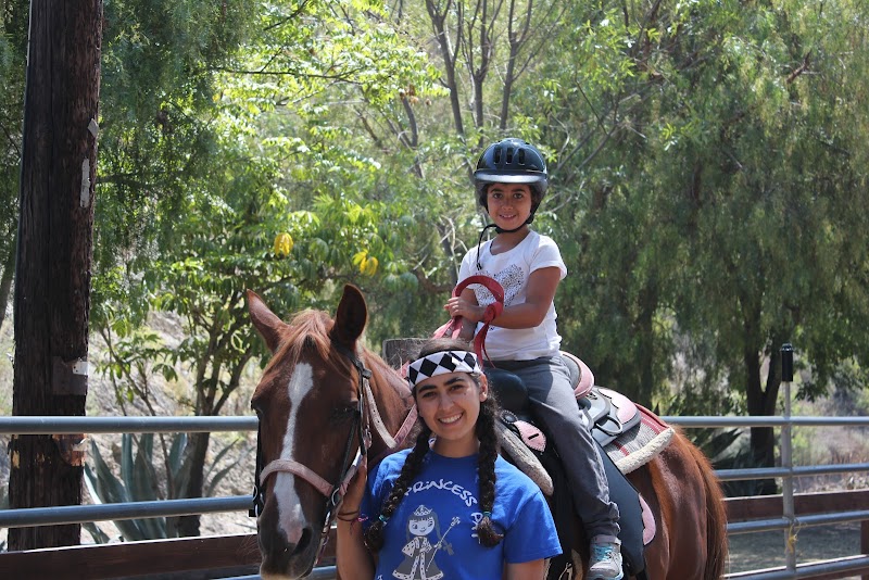 Tumbleweed Day Camp photo 3
