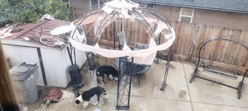 Garden Winds photo 2
