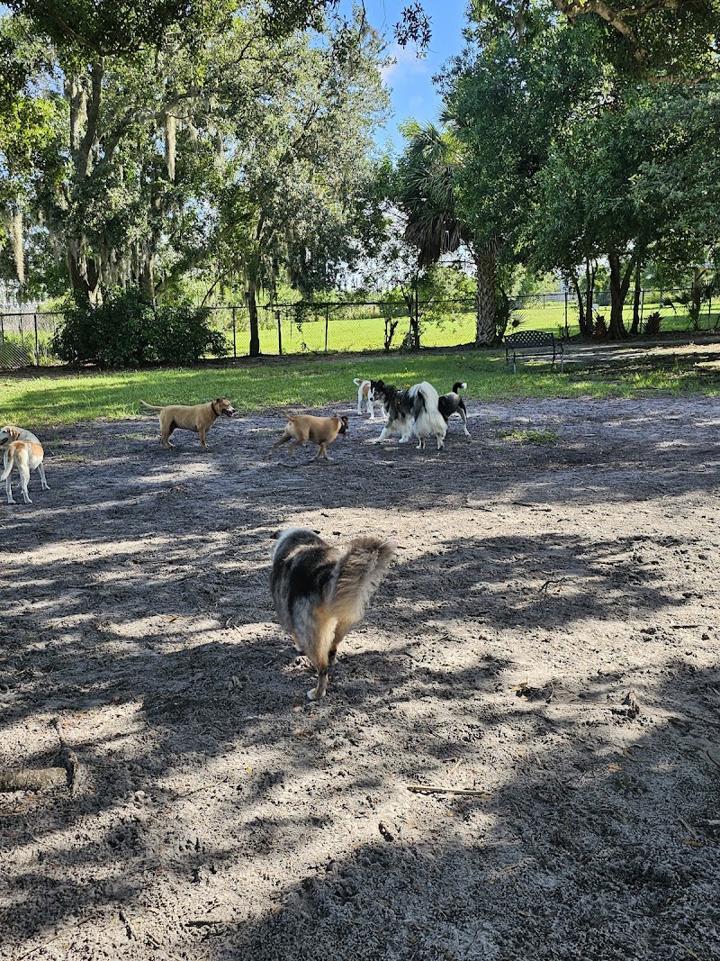 Dr Otts Off Leash Dog Sanctuary photo 2