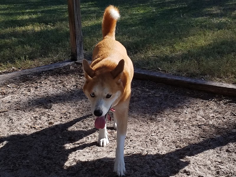 Dr Otts Off Leash Dog Sanctuary photo 5